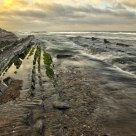 Sakoneta Flysch